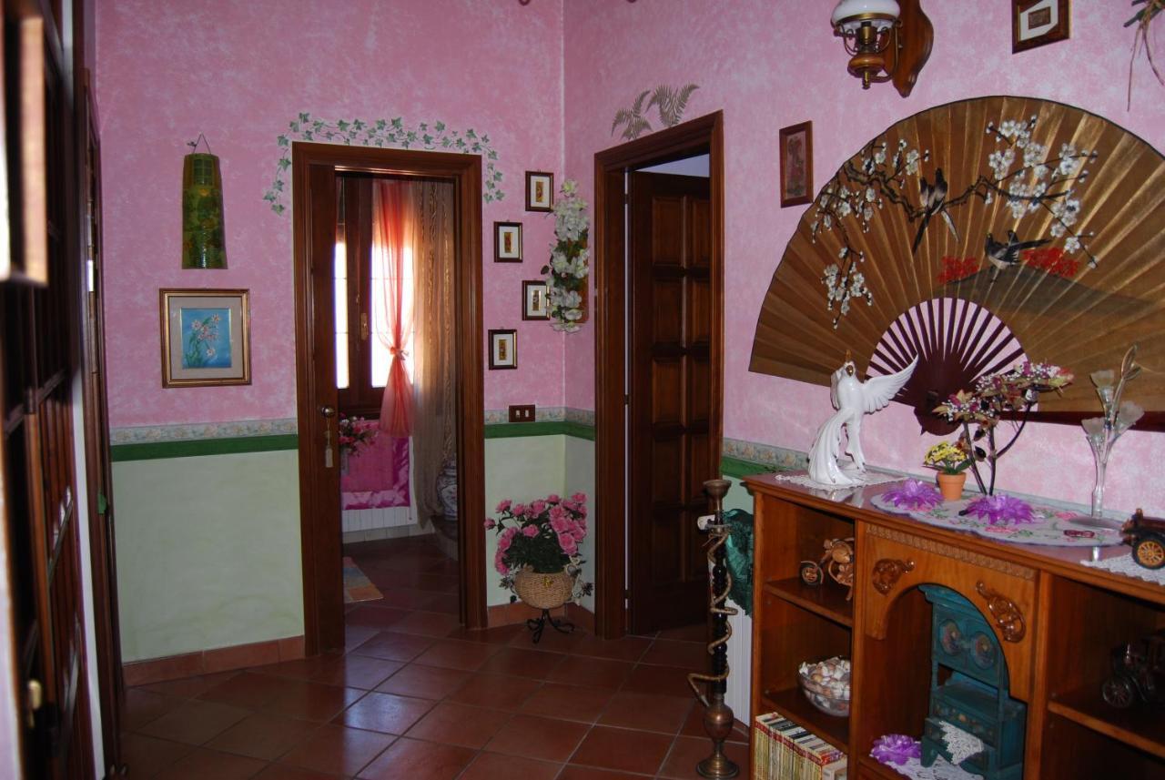 Sette Nani Elmas Exterior foto